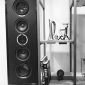 DALI Phantom S-280  HiFi In-Wall Speaker